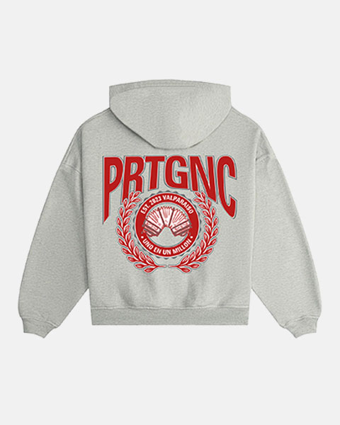 imegen trasera del poleron con cierre de color gris melange con serigrafia a tres colores